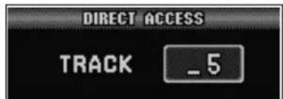 DIRECT ACCESS TRACK _ 5