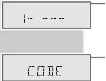 +---- CODE
