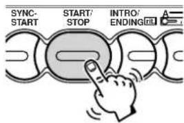 SYNC- START START/ STOP INTRO/ ENDING