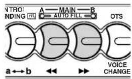 NTRO/ NDING A MAIN B AUTO FILL OTS a ↔ b ←→ VOICE CHANGE