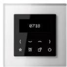 JUNG RADCD528 - Flush-mounted radio with display RAD... - 1