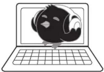 PHILIPS GoGear SA2SONGBIRD - Philips Songbird op uw PC installeren - 1
