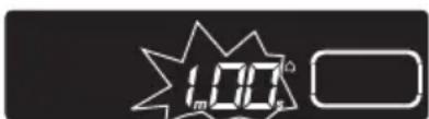 100 h