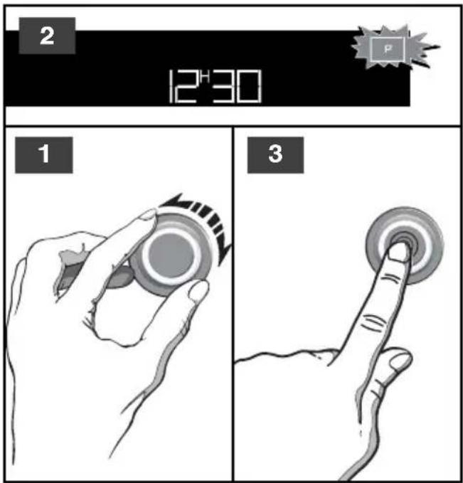 2 12^H30 1 3