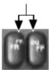 BLAUPUNKT Pasadena DJ - Wisselen van kant - 1