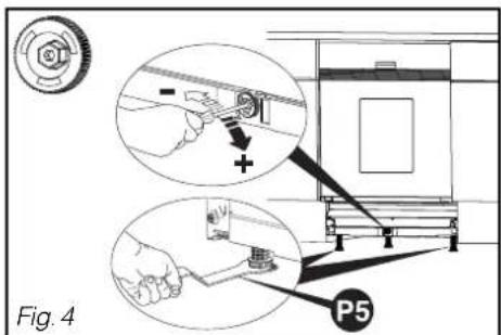 Fig. 4 P5