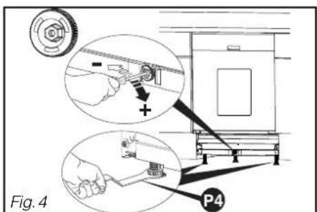 Fig. 4 P4