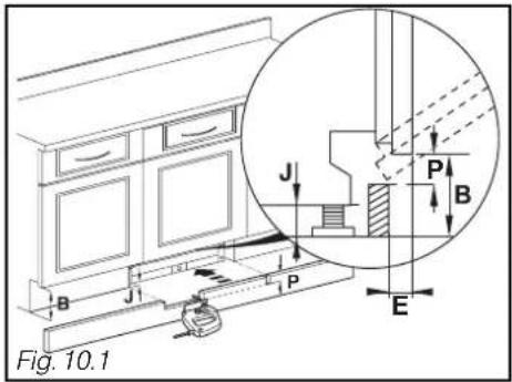 Fig. 10.1