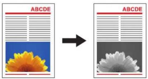 ABCDE → ABCDE