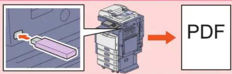 PDF