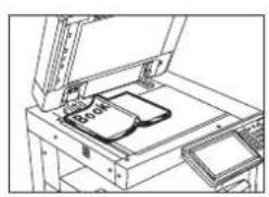 TOSHIBA E-Studio 2330c - WIS BUITENZIJDE - 1