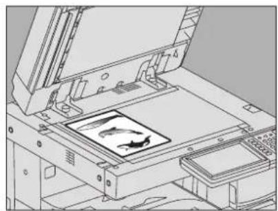 TOSHIBA E-Studio 2330c - Leg het origineel met de af te drukken zijde naar boven op de glasplaat. - 1