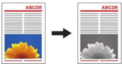ABCDE → ABCDE