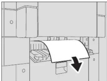 TOSHIBA E-STUDIO 237 - Verwijder het vastgelopen papier. - 1