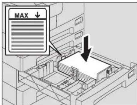 MAX ↓