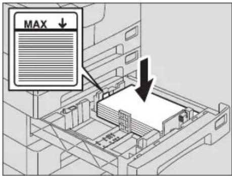 MAX ↓