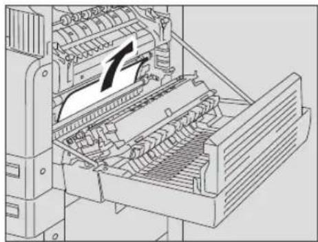 TOSHIBA E-studio 225 - Voorzichtig - 1