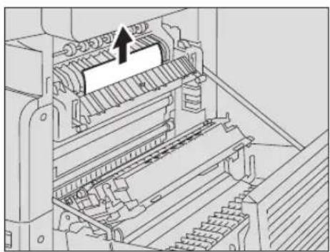 TOSHIBA e-studio 163 - Voorzichtig - 1