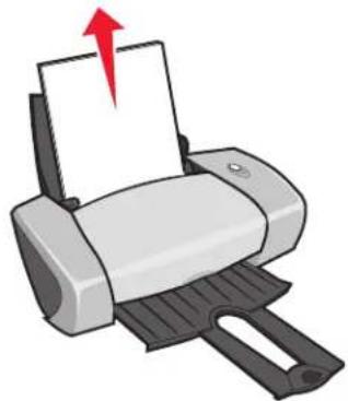LEXMARK Z605 - Stap 1: Plaats het bannerpapier in de printer - 1