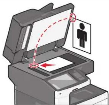 LEXMARK X790 - Automatische documentinvoer (ADI) Glasplaat - 2