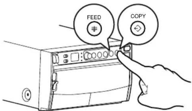 FEED COPY