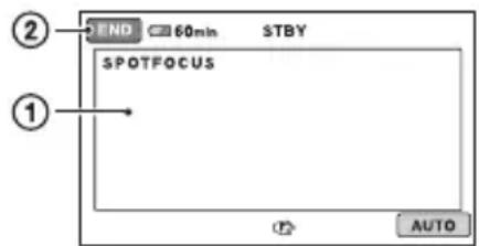 SONY DCR-SR33 - SPOTFOCUS - 2