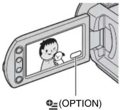 SONY DCR-SR33 - Gebruik van het OPTION MENU - 1