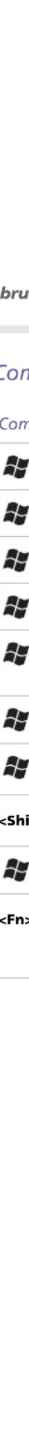 SONY PCG-TR1 - Combinaties en functies met de Windows®-toets - 72
