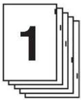 SHARP MX-M283N - VERHOUDING TUSSEN ORIGINELEN EN HET TABPAPIER - 1
