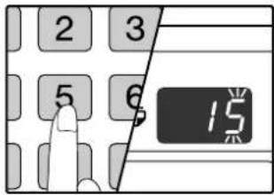 2 3 5 6 15