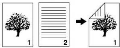 1 2 → 1