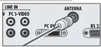 LINE IN V PC S-VIDEO PC DV ANTENNA RS 2s