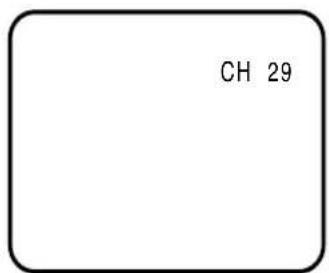 CH 29