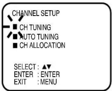 CHANNEL SETUP ■ CH TUNING ■ AUTO TUNING ■ CH ALLOCATION SELECT : ▲▼ ENTER : ENTER EXIT : MENU