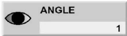 ANGLE 1