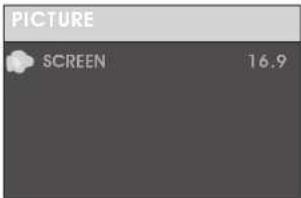 PICTURE SCREEN 16.9