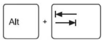 Alt +