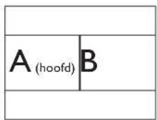 A (hoofd) B
