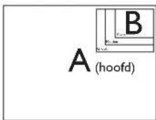 A (hoofd) B