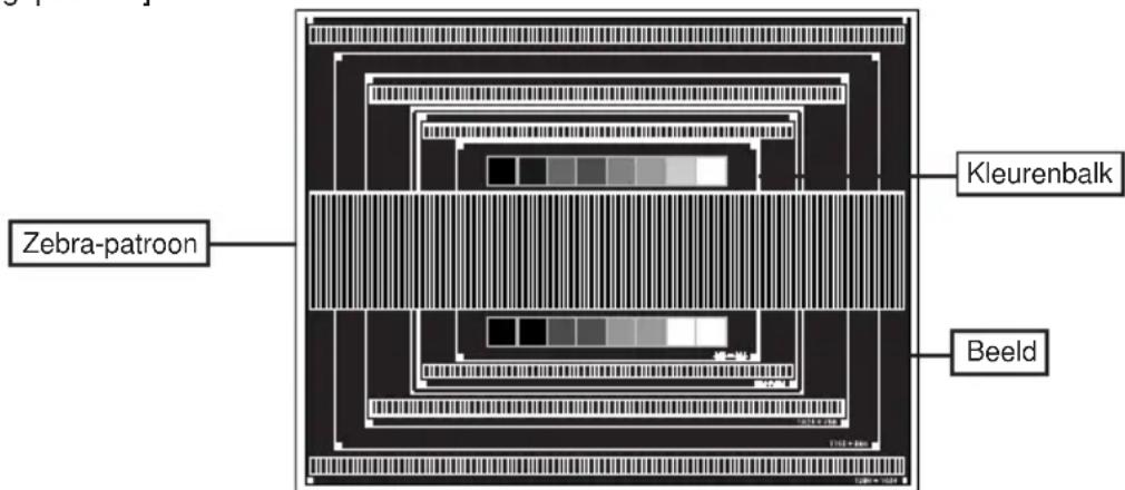 Zebra-patron Kleurenbalk Beeld
