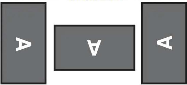A V A