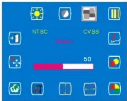 NTSC KVBS Kinder 50