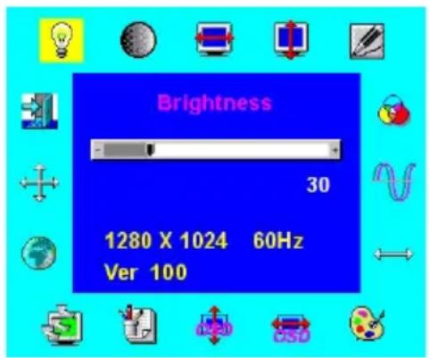 Brightness 30 1280 X 1024 60Hz Ver 100