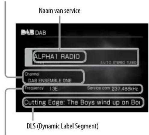 SONY NAS-SC500 - Over het DAB-hoofdscherm - 1