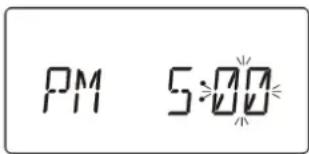 PM 5:00