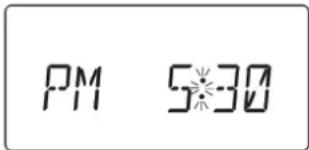 PM 5:30