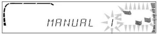 MANUAL