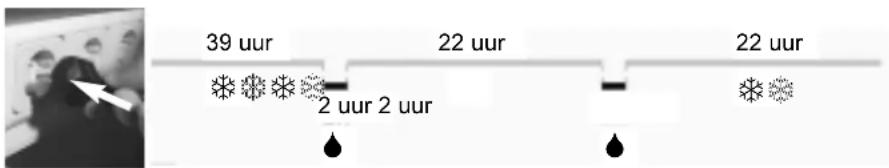 39 uur 22 uur 22 uur 22 uur 22 uur 22 uur 22 uur 22 uur 22 uur 22 uur 22 uur 22 uur 22 uur 22 uur 22 uur 22 uur 22 uur 22 uur 22 uur 22 uur 22 uur 22 uur 22 uur 22 uur 22 uur 22 uur 20 uur 20 uur 20 uur 20 uur 20 uur 20 uur 20 uur 20 uur 20 uur 20 uur 20 uur 20 uur 20 uur 20 uur 20 uur 20 uur 20 uur…