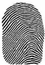 JUNG ABIS50 - Running the finger correctly over the sensor surface - 1