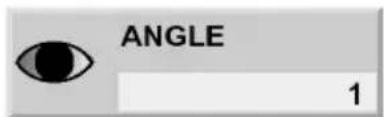 ANGLE 1